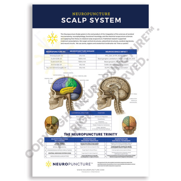 Neuropuncture Clinical Wall Chart - Neuropuncture Scalp System