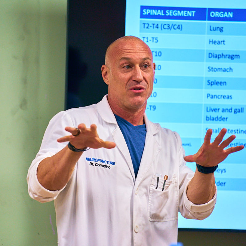 Dr. Michael Corradino teaching a Neuropuncture neuroscience acupuncture workshop