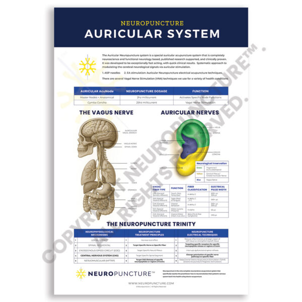 Neuropuncture Clinical Wall Chart - Neuropuncture Auricular System