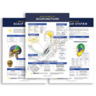 Neuropuncture Wall Charts