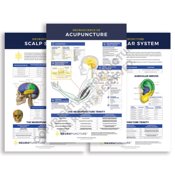 Neuropuncture Wall Charts